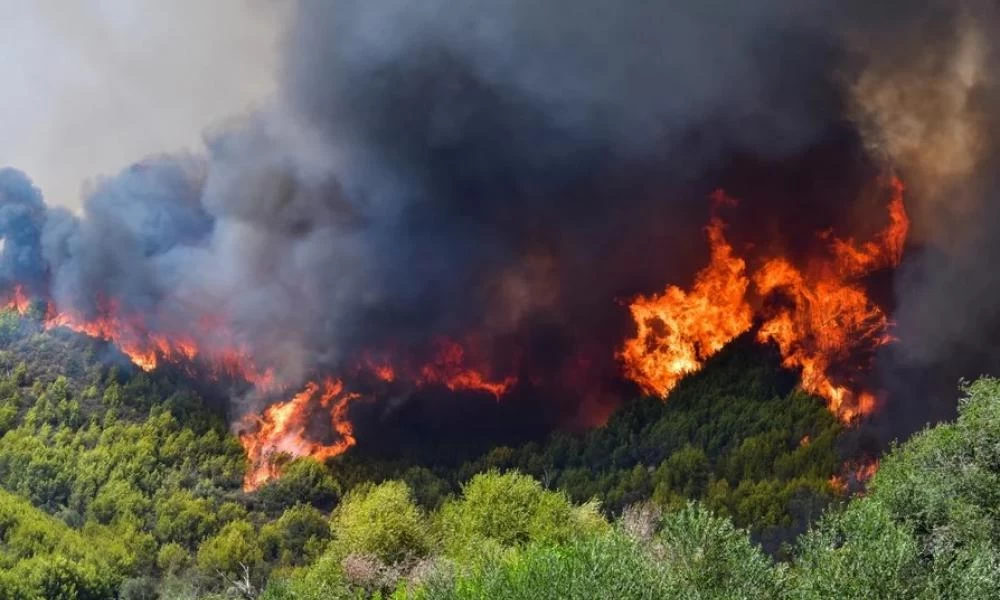 Φωτιά στην Ηλεία: Οργανωμένο σχέδιο εμπρησμού βλέπουν οι αρχές
